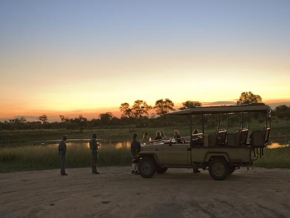 Plains Camp - Game Drive